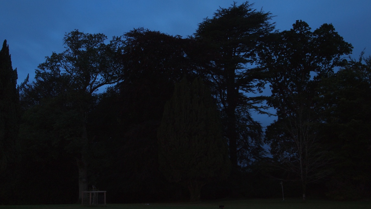 Fun with a Yew Tree at Caledon